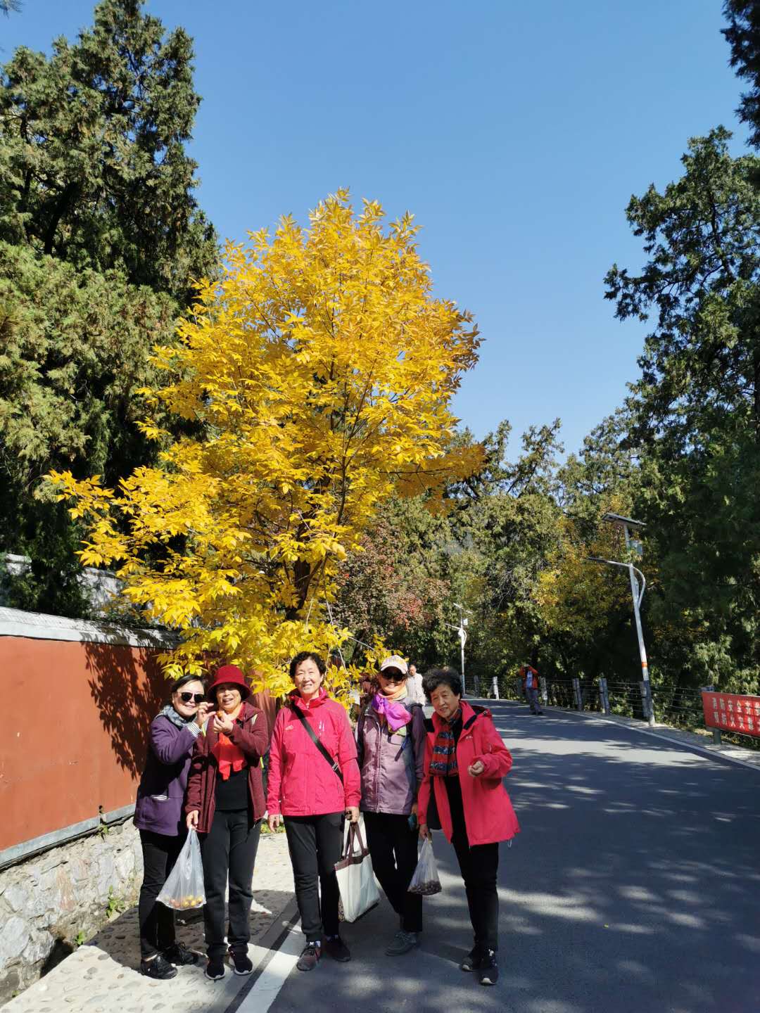 说明: C:\Users\DELL\AppData\Local\Temp\WeChat Files\a4ebf8c478baedaa59fe5765db9030b.jpg