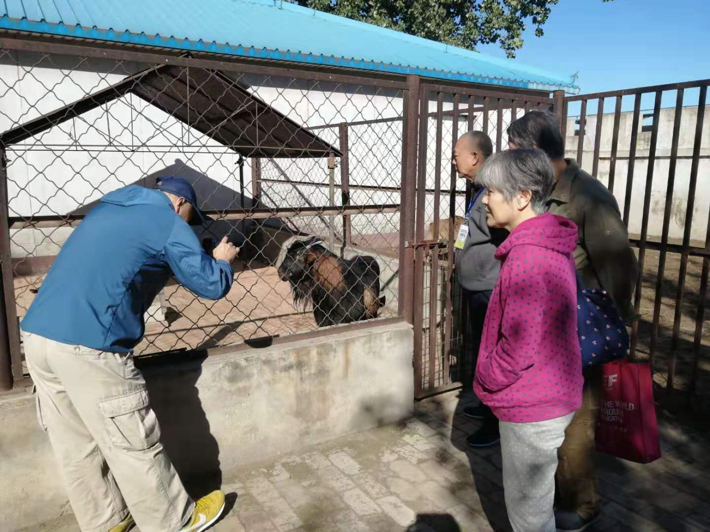 365英国上市公司