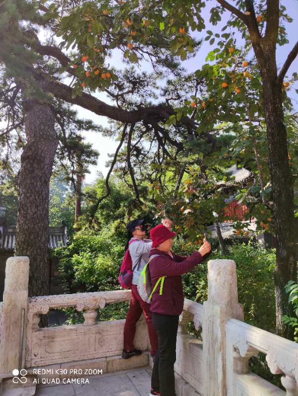 说明: C:\Users\DELL\AppData\Local\Temp\WeChat Files\c0cf776e033d2b31ecd72bfa3478f82.jpg