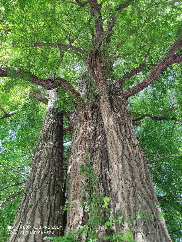 说明: C:\Users\DELL\AppData\Local\Temp\WeChat Files\072e69b5c7ea1f859a3b5f1fcca3e00.jpg